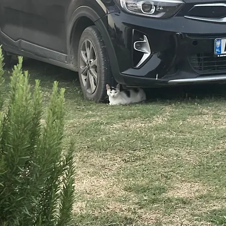 Hébergement de vacances Diarla's 3 *