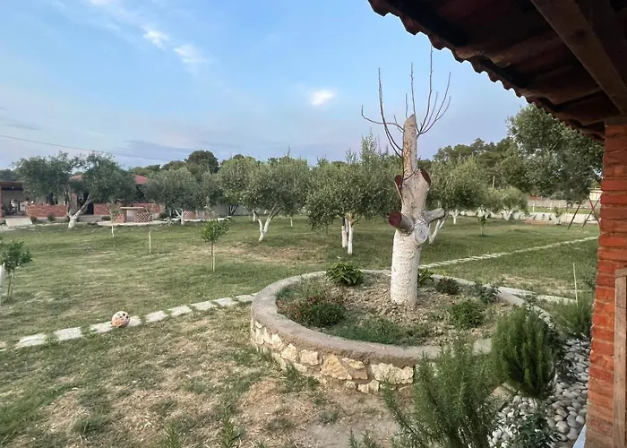 Diarla's 3 * Darezeze e Re