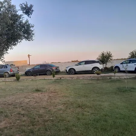 Diarla's 3 Darezeze e Re