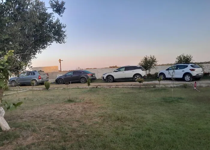 Diarla's 3 Darezeze e Re