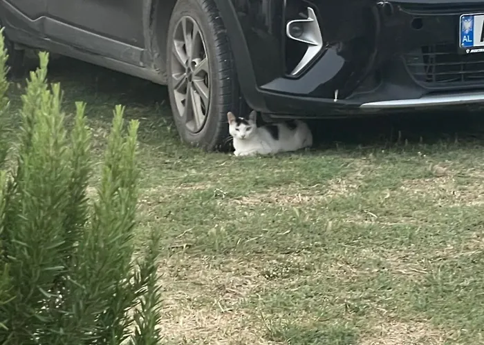 Feriehus Diarla's 3 *